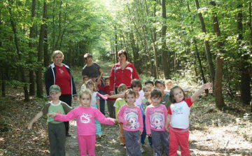 Az eltűnt erdők nyomában