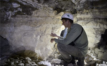 Amatőr ősmaradvány-gyűjtő Vanyarcon