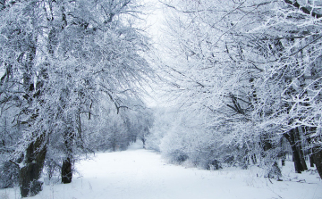 A Mátrában eltévedt házaspárt mentettek a bátonyterenyei rendőrök