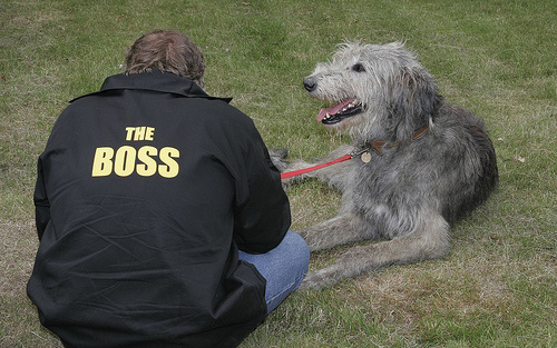 Kutyaidomítás: A kutyasuttogó módszer - Pontosan mit is jelent?