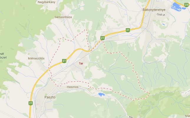 Hét polgármester-jelölt Taron