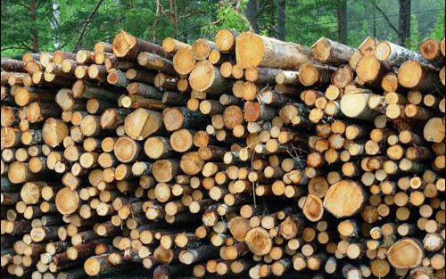 Fatolvajok a fogdán