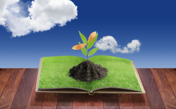 Globális nevelés szemléletet tanulhatnak a tanárok