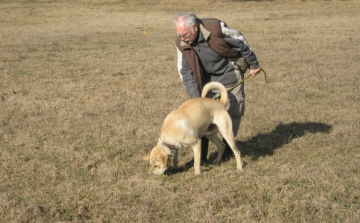 Nyomkövető kutya vezette a tolvajhoz a rendőröket