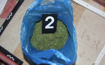 Készítették és értékesítették a biofüvet