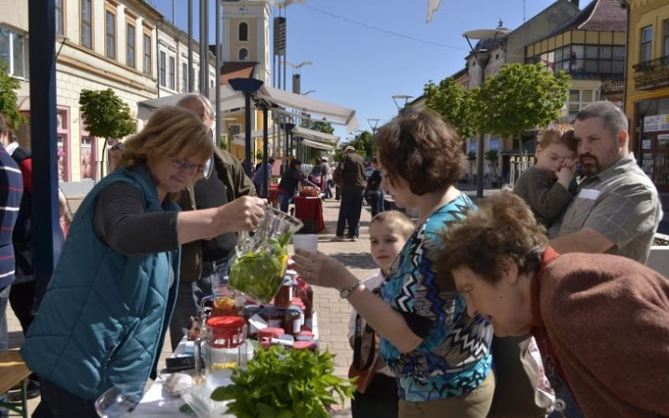 Közös gazdaságfejlesztés Nógrád megyében és Dél-Szlovákiában
