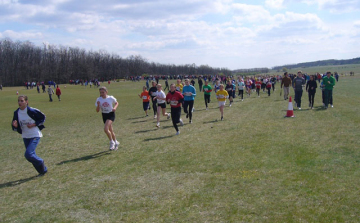 Három nógrádi érem