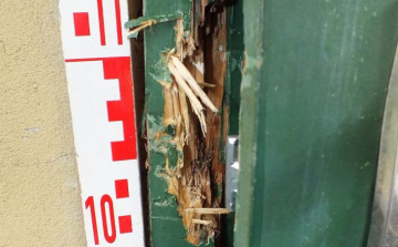 Rendőrkézen a sorozatbetörő