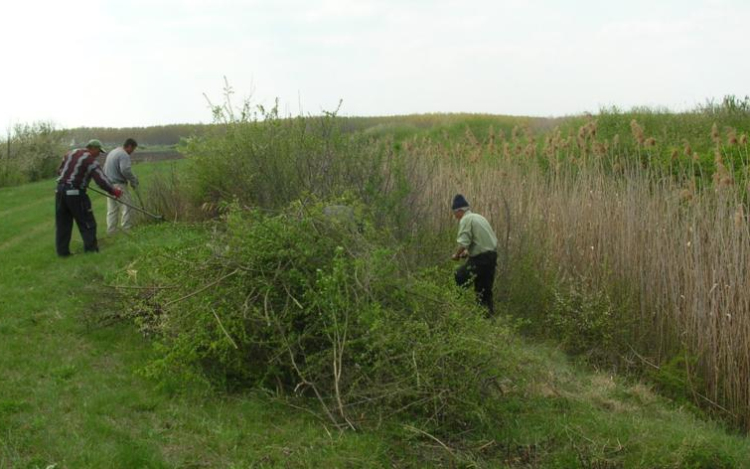 Több pénz jut közfoglalkoztatásra Nógrád megyében