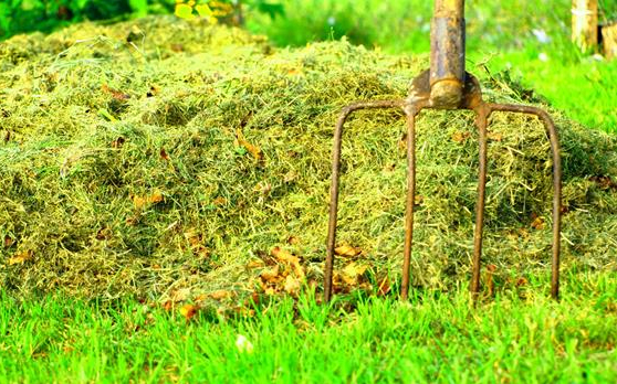 Vasvilla nyelével ütötte a sértettet