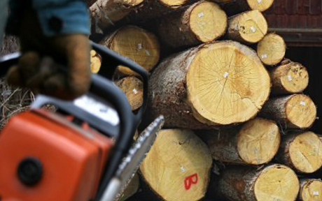 Közeleg a tél, megszaporodhatnak a falopások