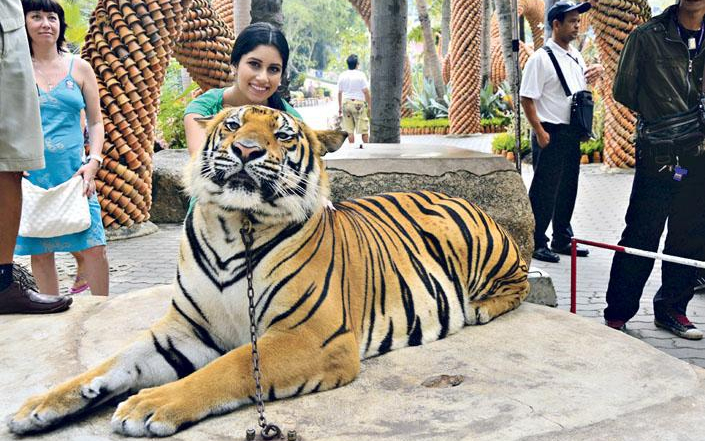 Thaiföldön pihent Radics Gigi