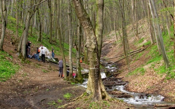 Gépeket vásárolt a nemzeti park