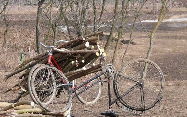 Akácfát gyűjtöttek a fatolvajok Nógrádmegyerben