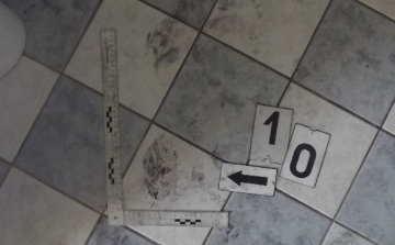 Őrizetbe vették a bujáki betörőt