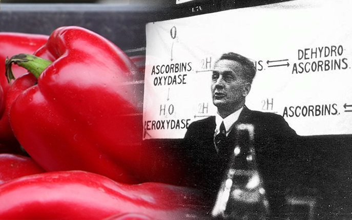 Szent-Györgyi Albert, Nobel-díjas orvos és kutató, a C-vitamin felfedezője