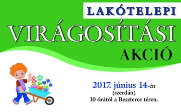 Virágosítási akció a Beszterce lakótelepen