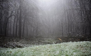 Korlátozott erdőlátogatás a Börzsönyben