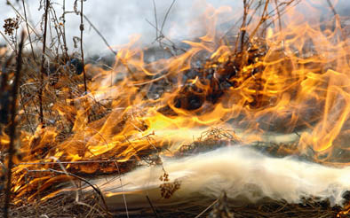 Országos ellenőrzést indult a szabadtéri tüzek megelőzéséért