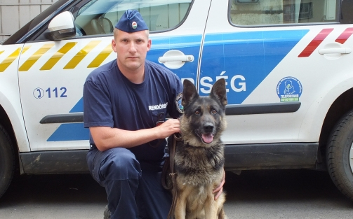 Rambo szagott fogott