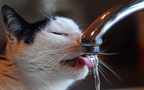 Megkezdték az ivóvízhálózat cseréjét Balassagyarmaton