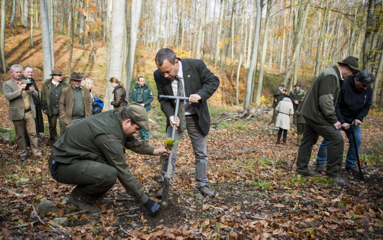 FM: az erdőgazdaságok több mint 16 milliárdot költöttek az erdei turizmus fejlesztésére