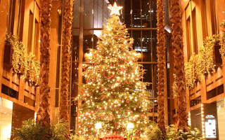 Novemberre tette az elnök a karácsonyt - videóval