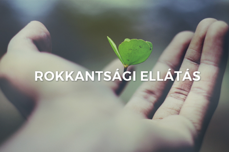 Változások a rehabilitációs és rokkantsági ellátások szabályozásában.