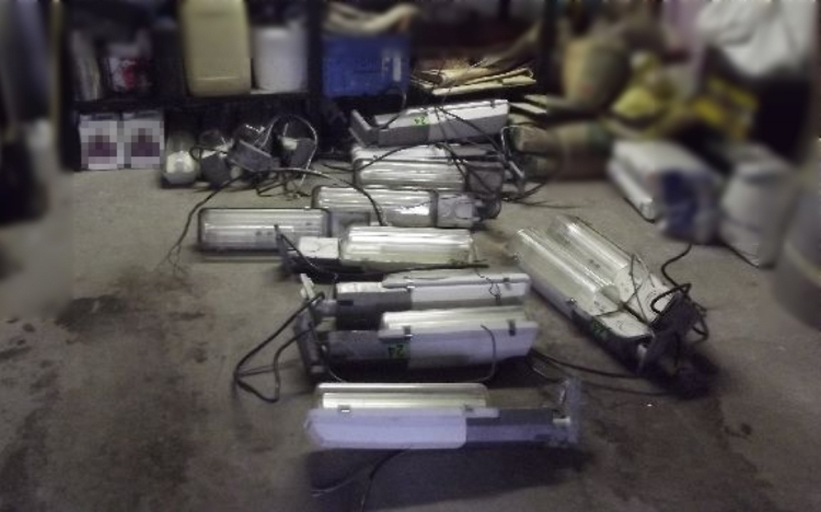 Közvilágításra szakosodtak