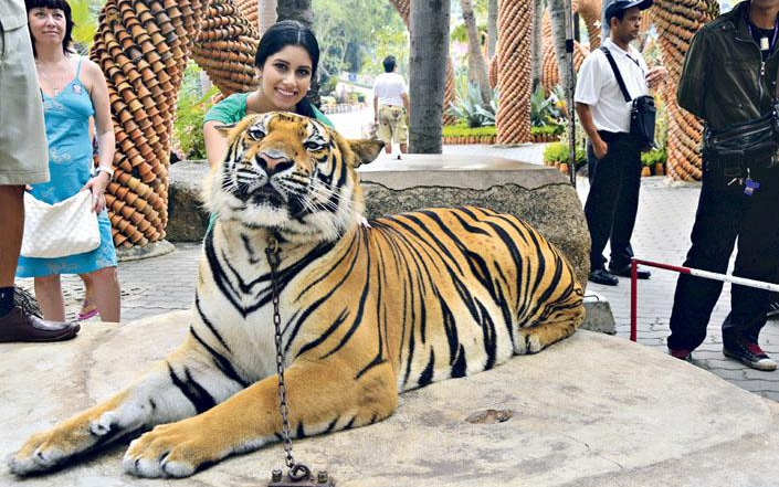 Radics Giginek kötelező a smink