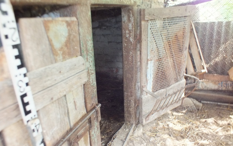 Tyúklopás Borsosberényben