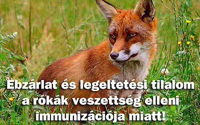 EBZÁRLAT ÉS LEGELTETÉSI TILALOM