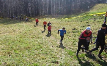 Négyből négy győzelem