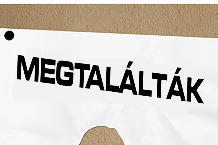 Megtalálták a vasárnap eltűnt 11 éves kislányt