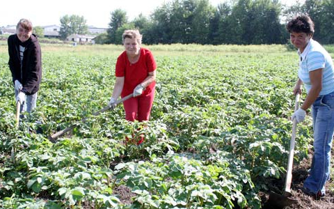 Szociális földprogramot hirdetett az Emmi szociális hivatala