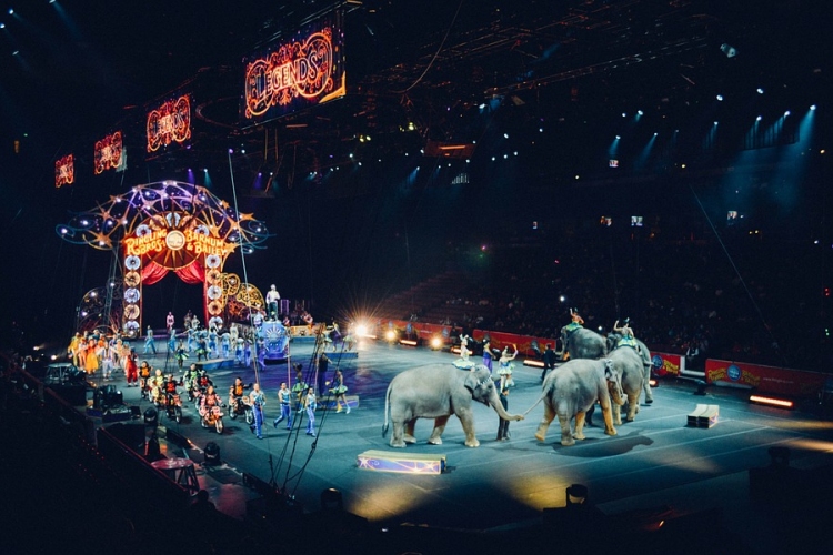 Kitiltották az állatidomár-számokat a romániai cirkuszokból