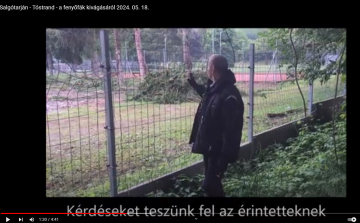 Salgótarján - a fenyőfák politikai élete