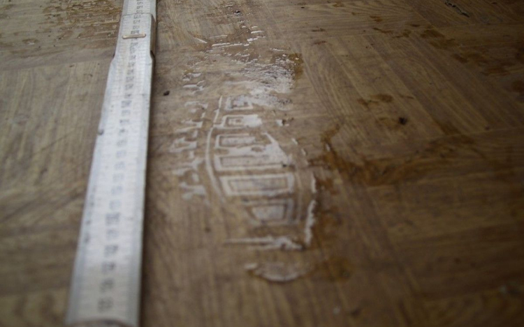 Trükkös tolvajok őrizetben