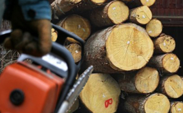 Közeleg a tél, megszaporodhatnak a falopások