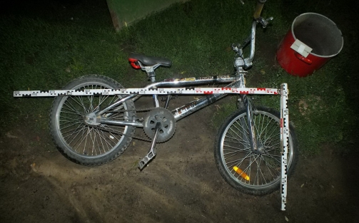 Házuk udvarán verekedtek