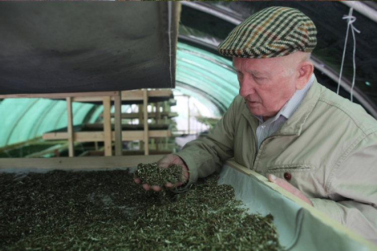 Balassagyarmatra látogat a bükki füvesember