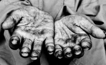 Hajléktalanok közfoglalkoztatása Salgótarjánban