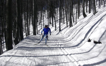 Csehországi versenyre utazott Papp Ildikó