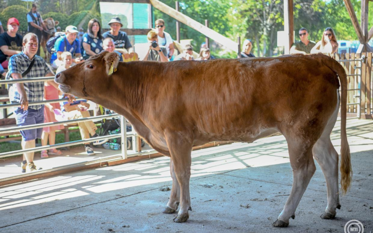 Nagy István: változásra van szükség a magyar mezőgazdaságban