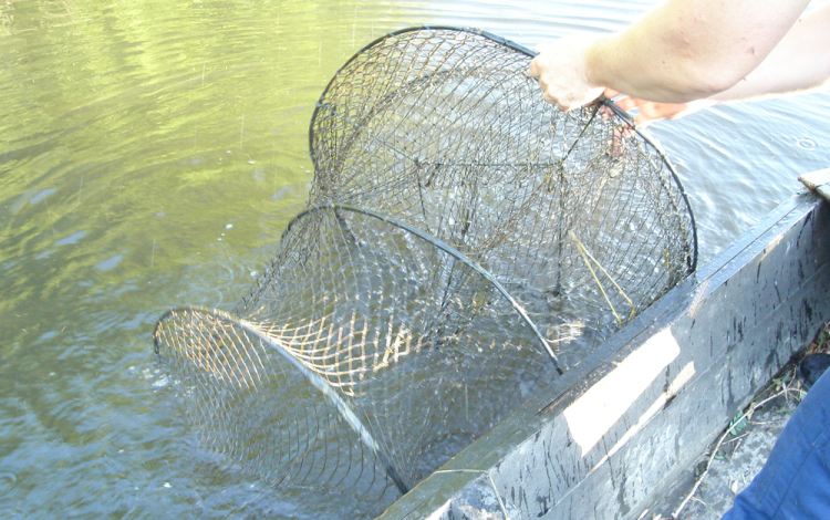 Országos rendőr horgászverseny Maconkán