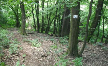 Új tanösvények Nógrád megyében