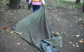 Háromszázan dolgoznak Balassagyarmaton a téli közmunka-programban