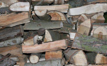 Mikor lesz vége a falopásnak?