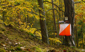 Két nógrádi érem Bajnáról