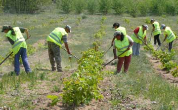 A közmunka dominál Nógrádban